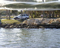 015 - Titusville boat trip